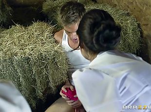 Gorgeous Blonde Porn Star Enjoying A Hardcore FFM Threesome In A Stable